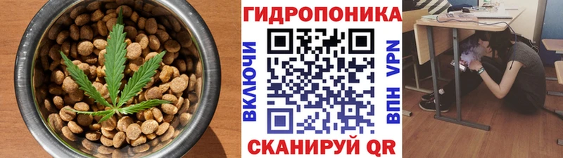 Cannafood марихуана  Купить где  Заволжье 