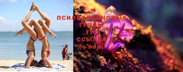 a pvp Ельня