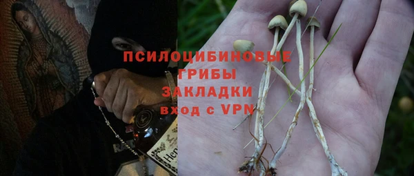 a pvp Ельня