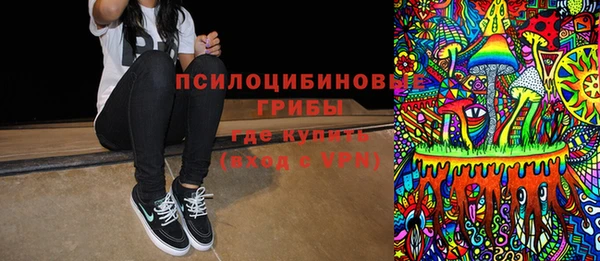 молекула духа Елабуга