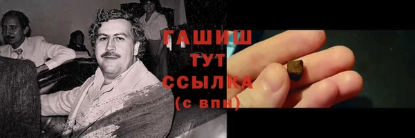 молекула духа Елабуга