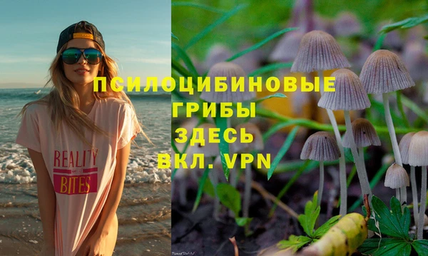 молекула духа Елабуга