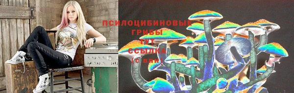 кокс Россошь