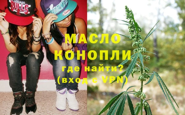 молекула духа Елабуга