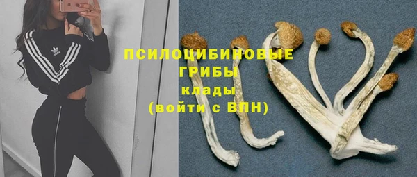молекула духа Елабуга